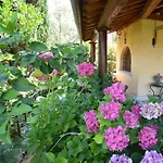 Mocarello