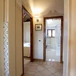 Mocarello