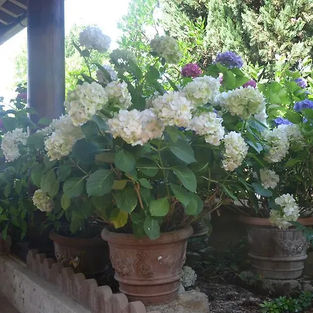 Mocarello Apartment