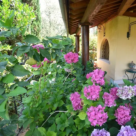 Mocarello