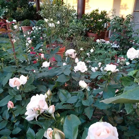 Apartment Mocarello